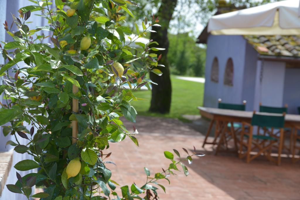 Casa Fontanino Bed & Breakfast Altopascio Luaran gambar