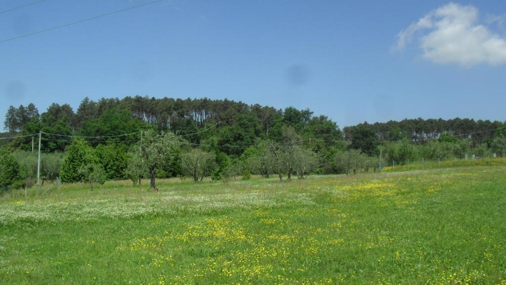 Casa Fontanino Bed & Breakfast Altopascio Luaran gambar
